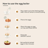 IQ Egg Boiler-Renewed_5